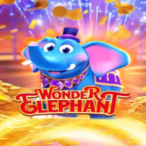 Explore the World of WonderElephant and Boost Your Experience with SN88
